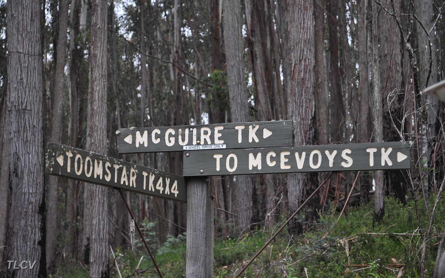 24-Hey, so now we know where we are! (Morning Tea stop).JPG